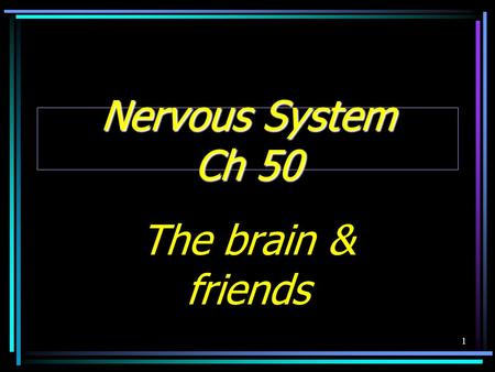 1 Nervous System Ch 50 The brain & friends. Purpose Communication Relays _______ ______ changes inside and out.