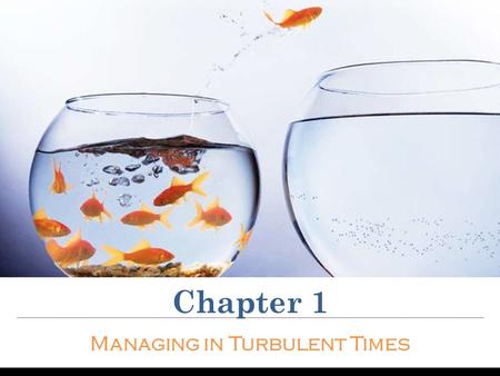 Managing in Turbulent Times