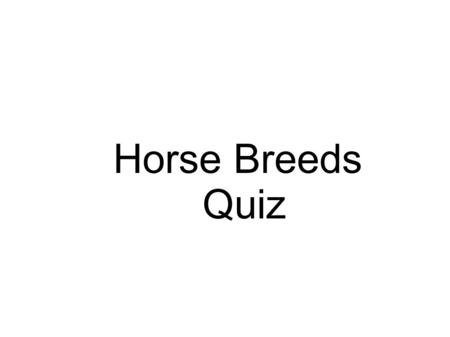 Horse Breeds Quiz.