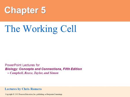 Copyright © 2005 Pearson Education, Inc. publishing as Benjamin Cummings PowerPoint Lectures for Biology: Concepts and Connections, Fifth Edition – Campbell,