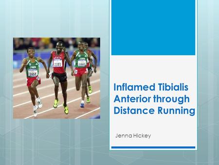 Inflamed Tibialis Anterior through Distance Running Jenna Hickey.