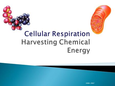 2006-2007. Modified from Kim Foglia Today I will… 1.Describe the process of glycolysis. 2.State the reactants and products of glycolysis.