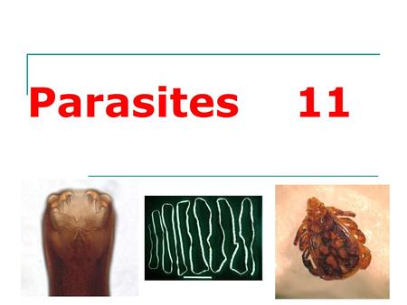 Parasites 11. What is a Parasite? Parasite is an organism that lives within or upon a different host species and may cause harm to the host.