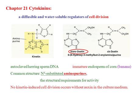 Chapter 21 Cytokinins: a diffusible and water-soluble regulators of cell division autoclaved herring sperm DNA immature endosperm of corn (banana) Common.