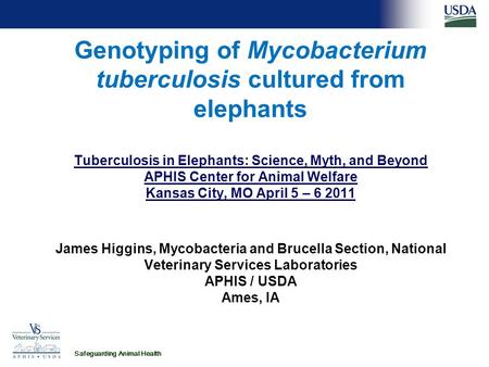 Safeguarding Animal Health Genotyping of Mycobacterium tuberculosis cultured from elephants Tuberculosis in Elephants: Science, Myth, and Beyond APHIS.