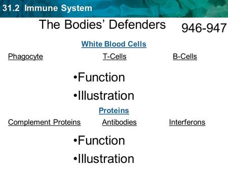 The Bodies’ Defenders Function Illustration Function