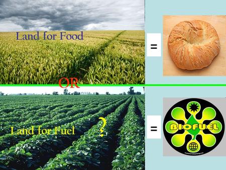 Land for Food OR Land for Fuel ?. Historically, the world’s farmers produced food, feed and fiber. Many plants or plant parts are eaten as food. There.