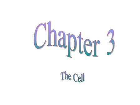 Cell Theory The cell is the basic structural and functional unit of life Organismal activity depends on individual and collective activity of cells.