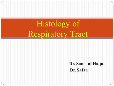 Dr. Sama ul Haque Dr. Safaa Histology of Respiratory Tract.