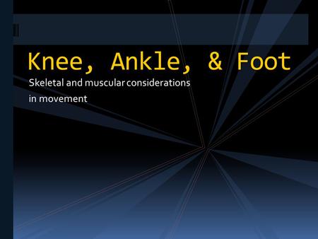 Skeletal and muscular considerations in movement Knee, Ankle, & Foot.