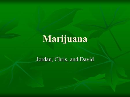 Marijuana Jordan, Chris, and David. Street Names Pot Pot Weed Weed Astro turf Astro turf Mary Jane Mary Jane J Herb Herb Grass Grass Dagga Dagga Dope.