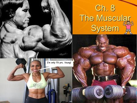 Ch. 8 The Muscular System I’m only 73 yrs. Young!