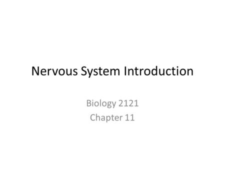 Nervous System Introduction Biology 2121 Chapter 11.