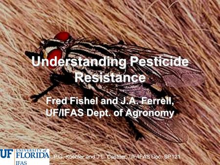 Understanding Pesticide Resistance Fred Fishel and J.A. Ferrell, UF/IFAS Dept. of Agronomy P.G. Koehler and J.L. Castner, UF/IFAS Doc. SP121.