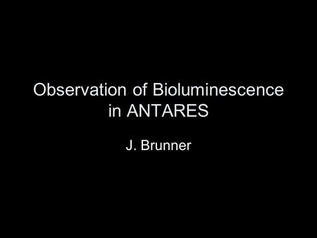 Observation of Bioluminescence in ANTARES J. Brunner.