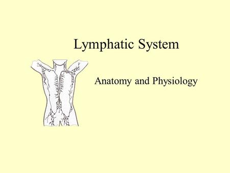 Lymphatic System Anatomy and Physiology Lymphatic System Network of vessels Transports excess fluid from around the cells to the bloodstream Lymph capillaries.