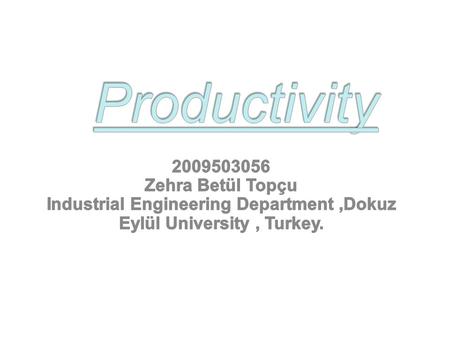  Productivity  Economic growth and productivity  Main processes of a company  Productivity model  Illustration of the real income distribution processes.