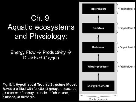 Fig Hypothetical Trophic Structure Model