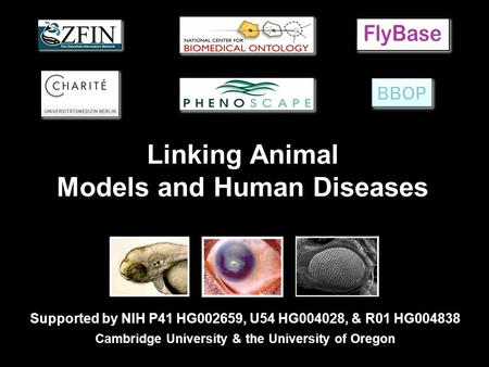 Linking Animal Models and Human Diseases Supported by NIH P41 HG002659, U54 HG004028, & R01 HG004838 Cambridge University & the University of Oregon.