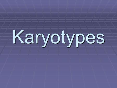 Karyotypes.