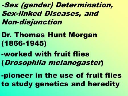 -Sex (gender) Determination, Sex-linked Diseases, and Non-disjunction -pioneer in the use of fruit flies to study genetics and heredity -worked with fruit.