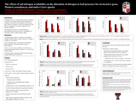 The effects of soil nitrogen availability on the allocation of nitrogen to leaf processes for an invasive grass, Phalaris arundinacea, and native Carex.