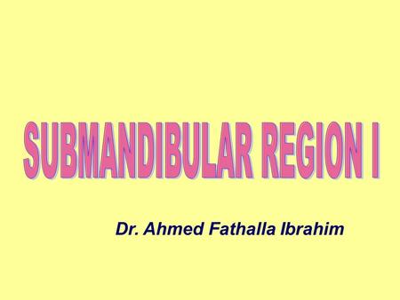 SUBMANDIBULAR REGION I