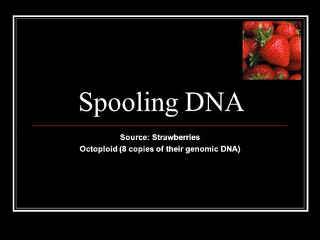 Source: Strawberries Octoploid (8 copies of their genomic DNA)