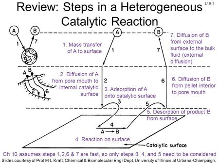 Review: Steps in a Heterogeneous Catalytic Reaction