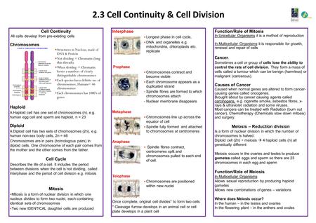 Interphase Longest phase in cell cycle, DNA and organelles e.g. mitochondria, chloroplasts etc. replicate Prophase Chromosomes contract and become visible.