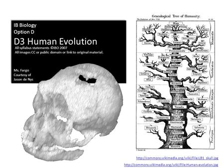 IB Biology Option D D3 Human Evolution Ms. Fargo Courtesy of Jason de Nys IB Biology Option D D3 Human Evolution Ms. Fargo Courtesy of Jason de Nys All.