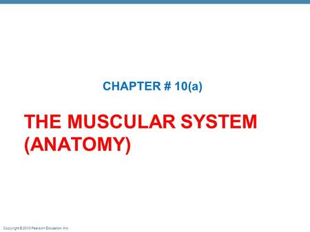 Copyright © 2010 Pearson Education, Inc. THE MUSCULAR SYSTEM (ANATOMY) CHAPTER # 10(a)