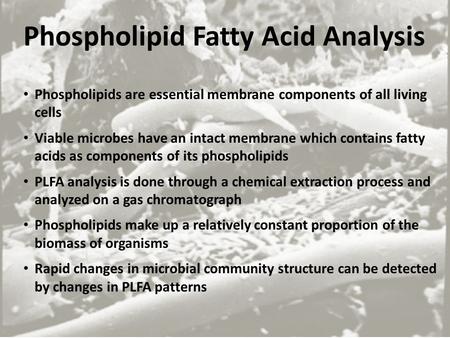 Phospholipid Fatty Acid Analysis Phospholipids are essential membrane components of all living cells Viable microbes have an intact membrane which contains.