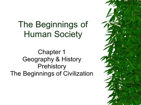 The Beginnings of Human Society