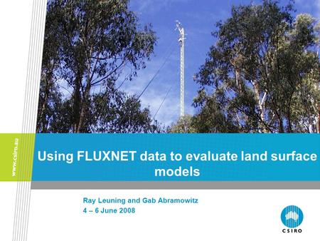 Using FLUXNET data to evaluate land surface models Ray Leuning and Gab Abramowitz 4 – 6 June 2008.