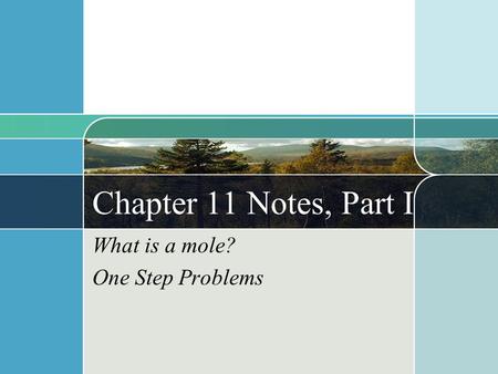 Chapter 11 Notes, Part I What is a mole? One Step Problems.