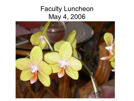 Faculty Luncheon May 4, 2006. Provost Award Nominees Excellence in Teaching.