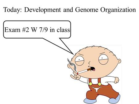 Exam #2 W 7/9 in class Today: Development and Genome Organization.