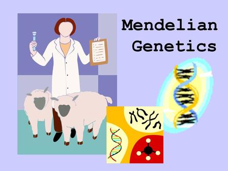 Mendelian Genetics.