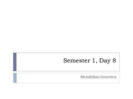 Semester 1, Day 8 Mendelian Genetics. Agenda  Review for Quiz  Turn in HW  Quiz on Meiosis  Lecture on Mendelian Genetics  Work/Reading Time.