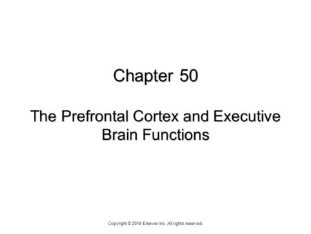 Chapter 50 The Prefrontal Cortex and Executive Brain Functions Copyright © 2014 Elsevier Inc. All rights reserved.