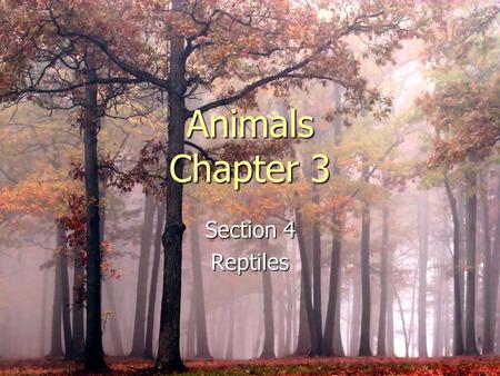 Animals Chapter 3 Section 4 Reptiles. Protection from Drying Out ► A reptile is an ectothermic vertebrate that has lungs & scaly skin ► Can spend entire.