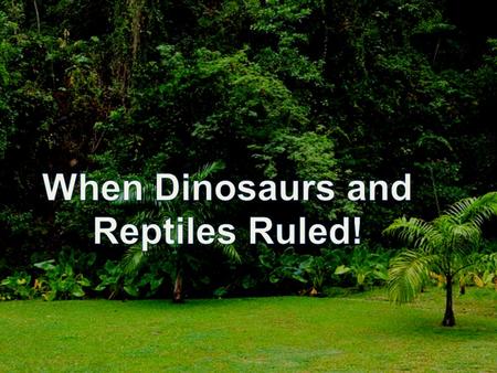 Dinosaurs and Reptiles Ruled Before the rise of humans and other mammals, dinosaurs and reptiles ruled the Earth. Despite being two different types of.