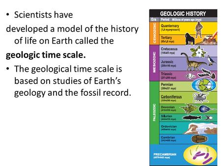 Scientists have developed a model of the history of life on Earth called the geologic time scale. The geological time scale is based on studies of Earth’s.