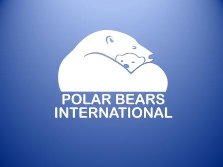 A Future in Jeopardy Polar Bears in a Warming World: