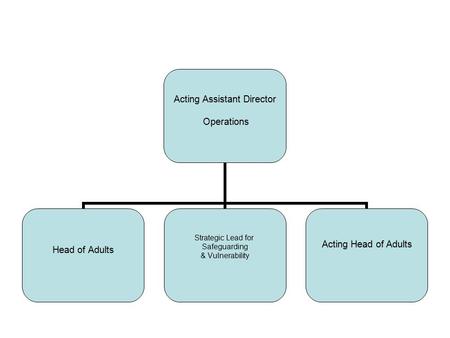 Acting Assistant Director Operations Head of Adults Strategic Lead for Safeguarding & Vulnerability Acting Head of Adults.