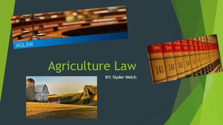 Agriculture Law BY: Slyder Welch. Location Requirements  No location requirements  Needs to be in good agriculture area  Not In big cities TEXARKANA,