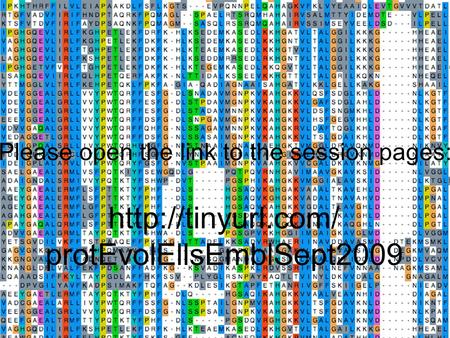 Protein Evolution: Introduction to Protein Structure and Function   protEvolEllsEmblSept2009 Please open the.