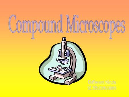 Different Kinds of Microscopes