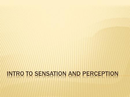  The passive process of bringing information from the outside world into the body and to the brain.  The process is passive in the sense that we do.